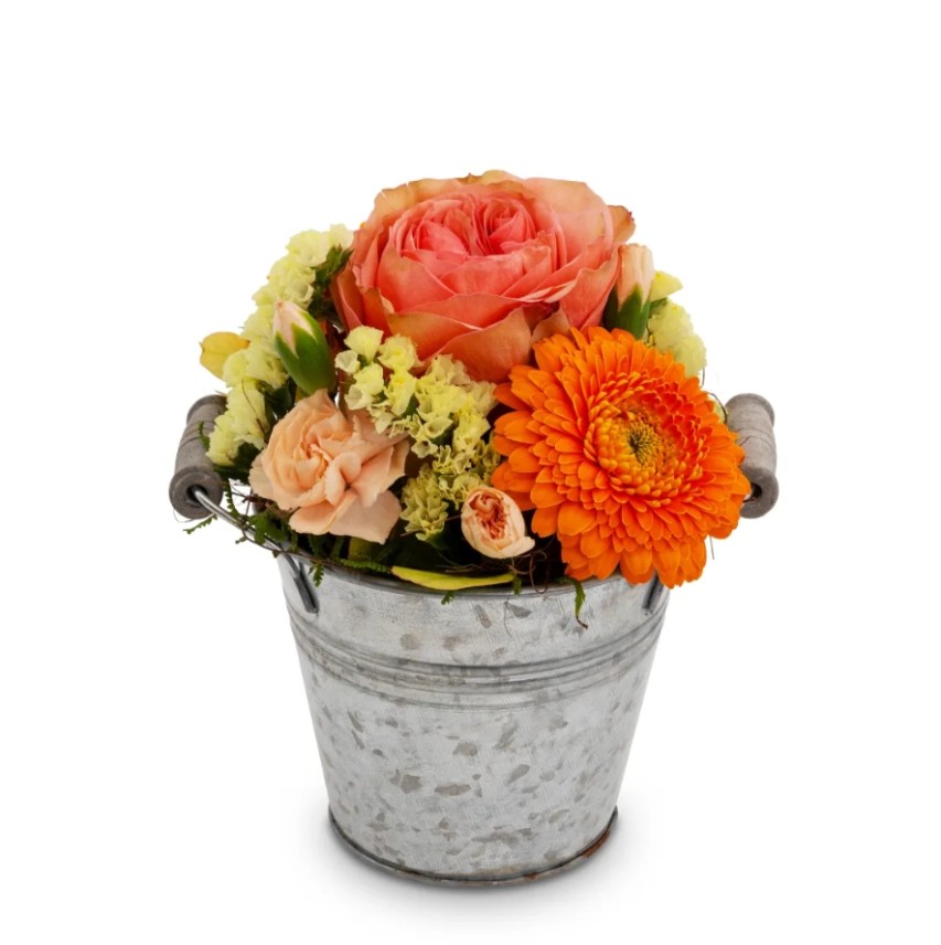 Petit Arrangement Coloré