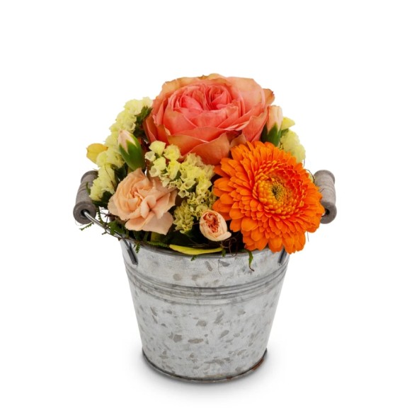 Petit Arrangement Coloré