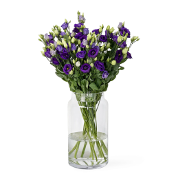 Lisianthus Violet à l'Unité - Macky Fleurs Lausanne
