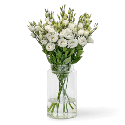 Lisianthus Blanc à l'Unité - Macky Fleurs Lausanne