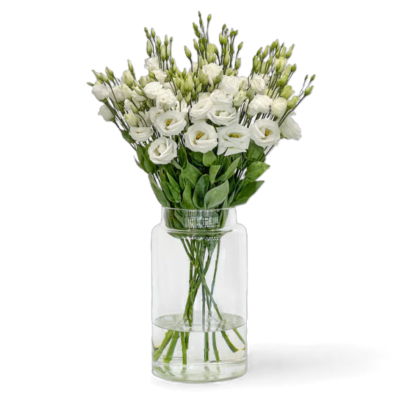 Lisianthus Blanc à l'Unité - Macky Fleurs Lausanne