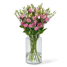 Lisianthus Rose à l'Unité - Macky Fleurs Lausanne