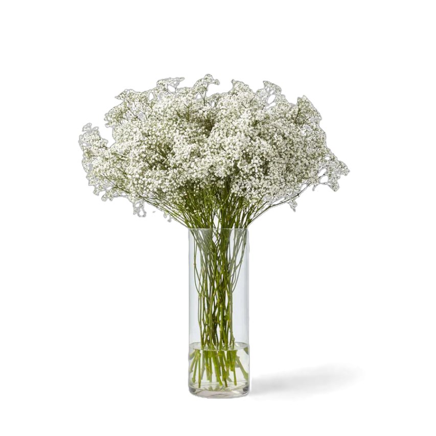 Gypsophile à l'unité - Macky Fleurs - Lausanne