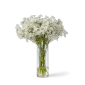Gypsophile à l'unité - Macky Fleurs - Lausanne