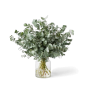 Eucalyptus à l'Unité - Macky Fleurs Lausanne