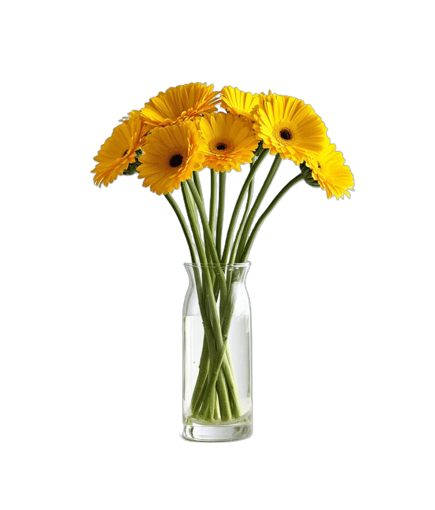 Gerbera Jaune à l'Unité  - Livraison de Fleurs Lausanne - Macky Fleurs