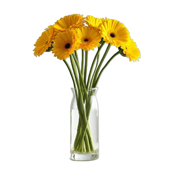 Gerbera Jaune à l'Unité  - Livraison de Fleurs Lausanne - Macky Fleurs