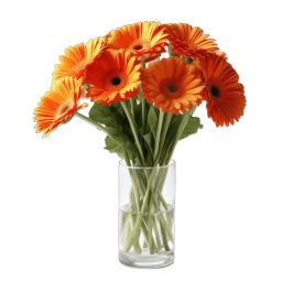 Gerbera Orange à l'Unité  - Livraison de Fleurs Lausanne - Macky Fleurs