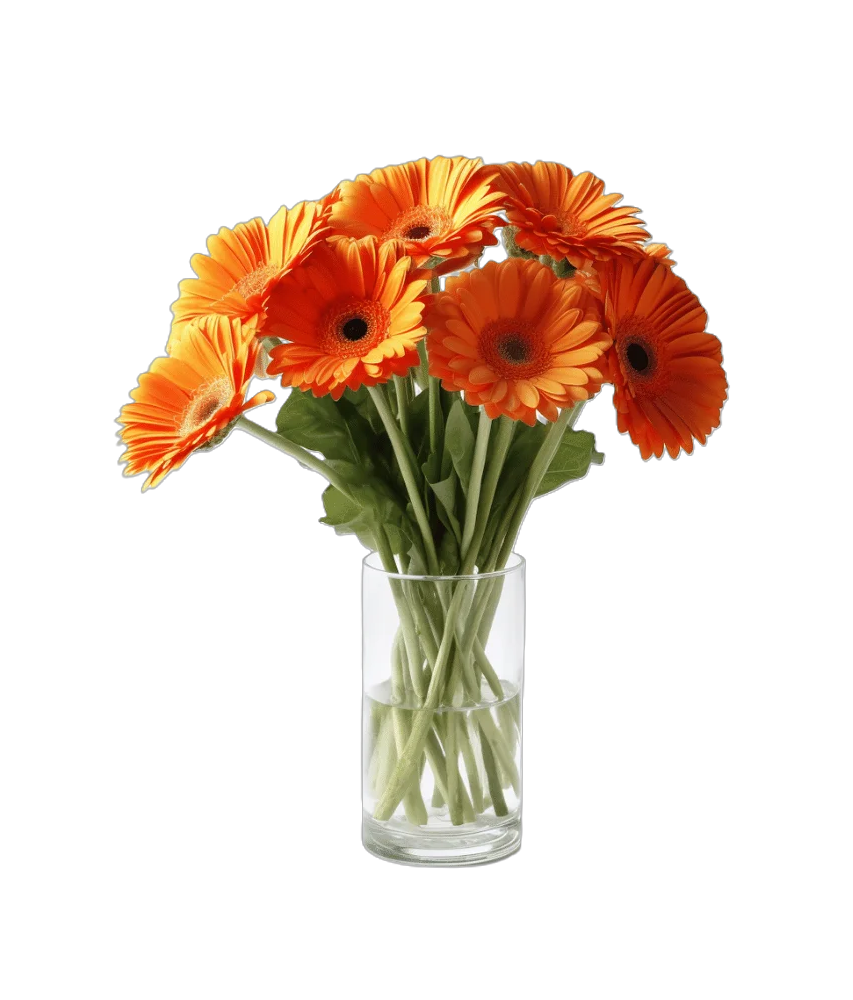 Gerbera Orange à l'Unité  - Livraison de Fleurs Lausanne - Macky Fleurs
