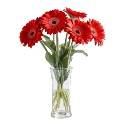 Gerbera Rouge à l'Unité  - Livraison de Fleurs Lausanne - Macky Fleurs