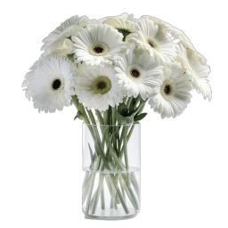 Gerbera Blanc à l'Unité  - Livraison de Fleurs Lausanne - Macky Fleurs
