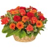 Rayon de Chaleur - Panier de deuil aux fleurs orange et rouge - Macky Fleurs