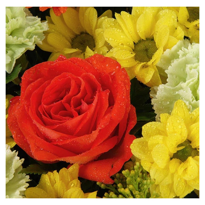 Douceur - Coussin de deuil coloré - Macky Fleurs - Lausanne